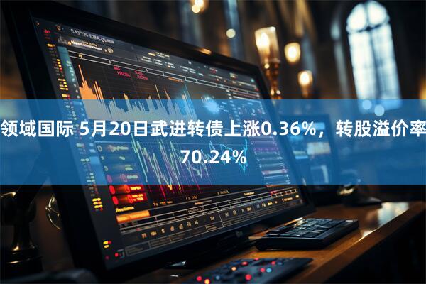 领域国际 5月20日武进转债上涨0.36%，转股溢价率70.24%