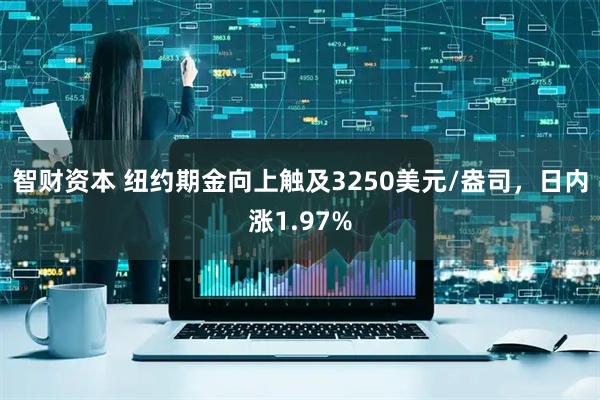 智财资本 纽约期金向上触及3250美元/盎司，日内涨1.97%