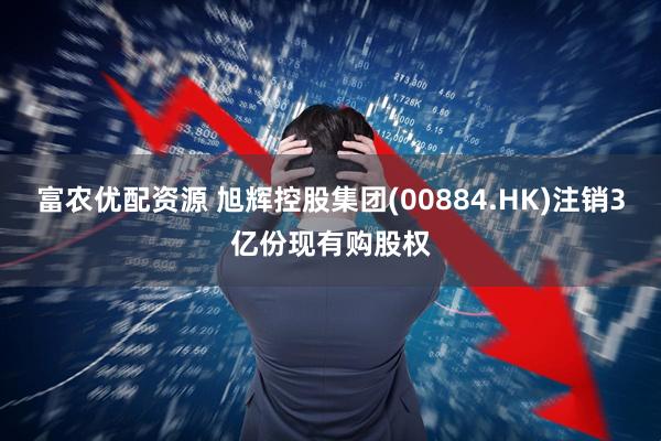 富农优配资源 旭辉控股集团(00884.HK)注销3亿份现有购股权
