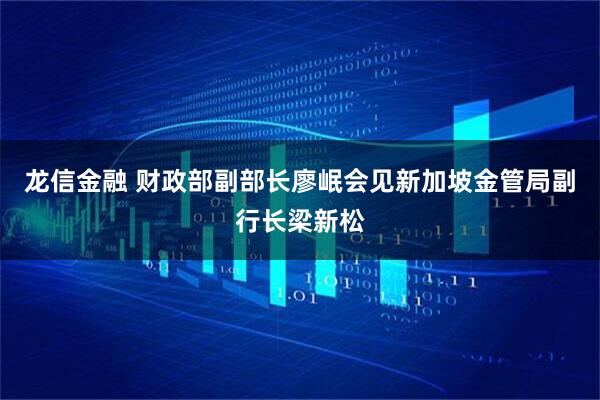 龙信金融 财政部副部长廖岷会见新加坡金管局副行长梁新松
