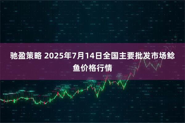 驰盈策略 2025年7月14日全国主要批发市场鲶鱼价格行情