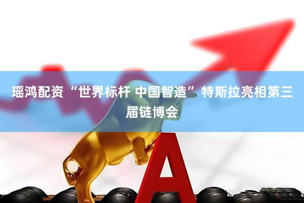 瑶鸿配资 “世界标杆 中国智造” 特斯拉亮相第三届链博会