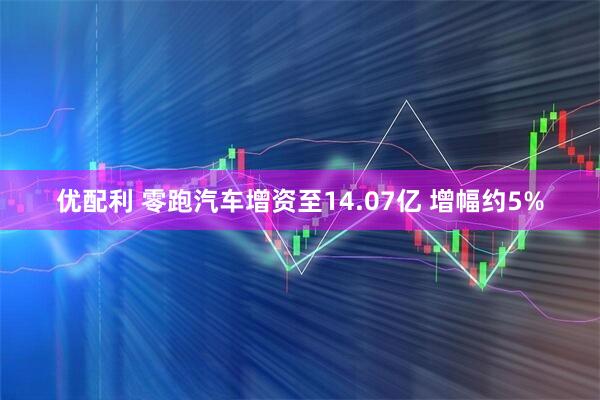 优配利 零跑汽车增资至14.07亿 增幅约5%