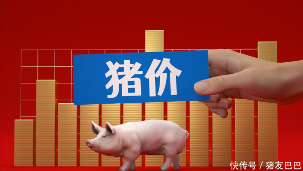 58配资 跌了，猪价下跌“跌猛了”！附：11月4日猪价